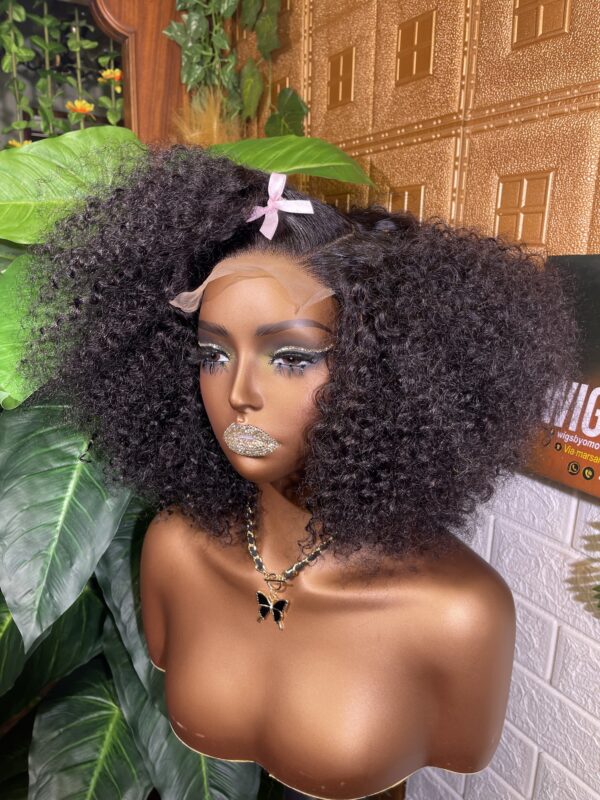 s.d.d jerry curly wig