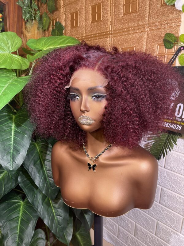 s.d.d jerry curly wig