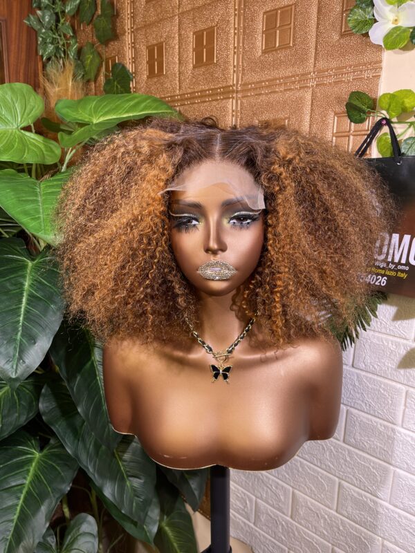 s.d.d jerry curly wig